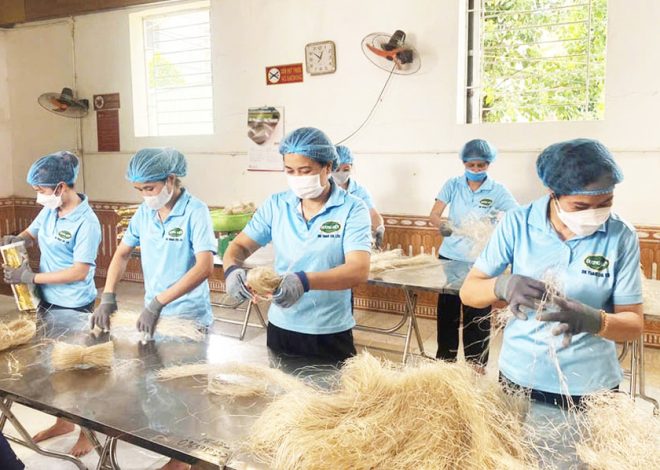 OCOP mở đường cho nông sản Hà Nội xuất khẩu