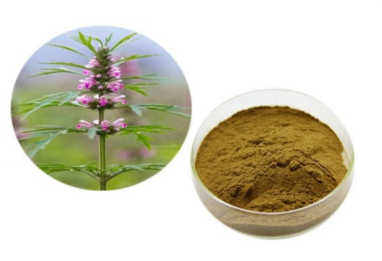 Ích mẫu giá bao nhiêu hiện nay?