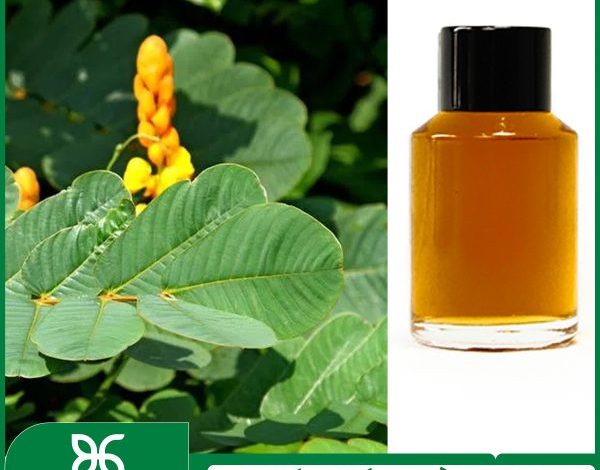 Chiết xuất Muồng trâu để làm gì?