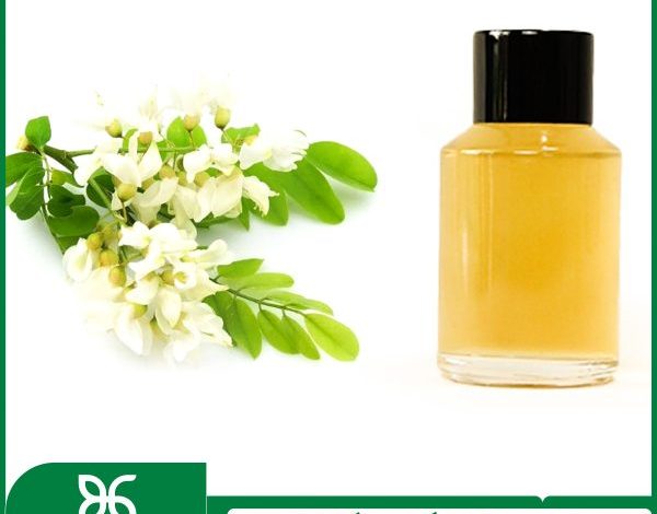 Thông tin chiết xuất hoa hòe thế nào?