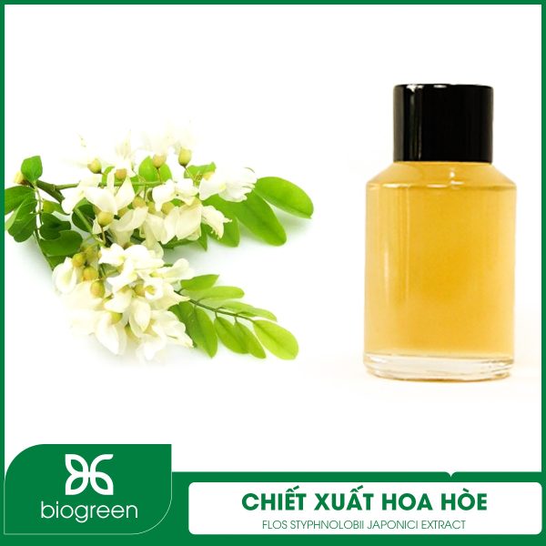 Thông tin chiết xuất hoa hòe thế nào?